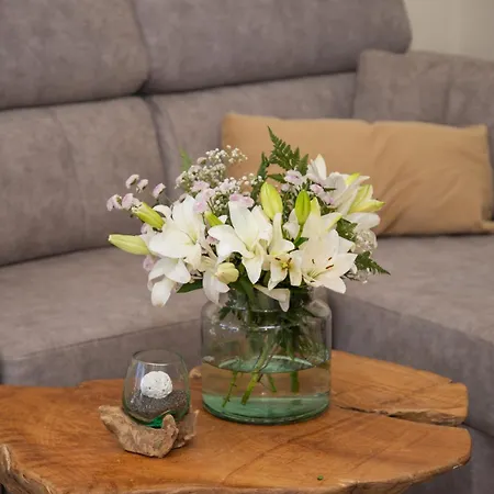 Casa Palmeras 빌라 Parque Holandes