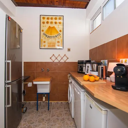 Casa Palmeras Villa Parque Holandes